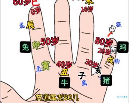 手到擒来最准生肖开特算法详解！教你算出下一期开特号码！