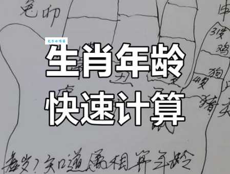 手到擒来最准生肖开特算法详解！教你算出下一期开特号码！