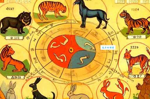 猜生肖谜题快刀斩乱麻指的是哪个生肖?高手解读!