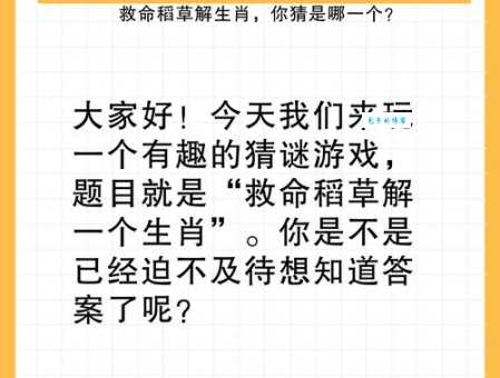 揭秘白发苍苍打一正确生肖的答案!看你猜对了没