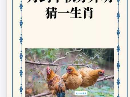 义上云天打一最佳生肖的真实答案是哪个生肖？
