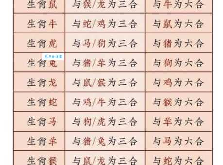 前仰后合是什么生肖？资深命理师为你揭晓正确答案