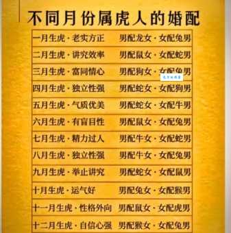 身强力壮是哪个生肖动物？属牛还是属虎最有力？