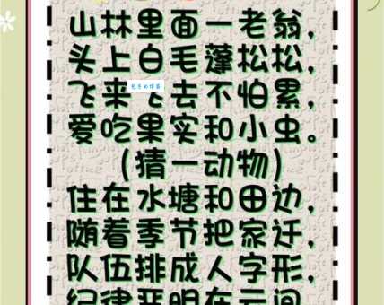 烈日当空打一准确生肖的谜语解析方法来了！帮你轻松猜中！