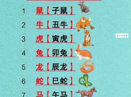 探究后继有人是指什么生肖？原来这些生肖代表传承！