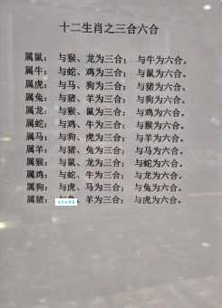 一日千里是什么生肖？老司机教你快速猜出正确的答案