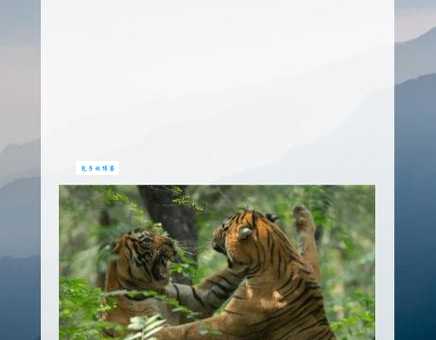 听说抠心挖胆是这个生肖?快来看答案!