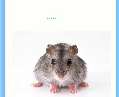 狗血喷头是什么生肖你知道吗？民间传说为你揭秘