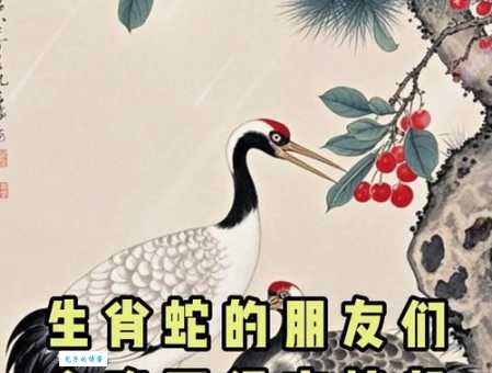 红头文件是什么生肖?这个谜底马上为你揭晓真相!