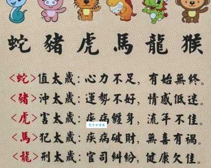 红头文件是什么生肖？这个谜底马上为你揭晓真相！