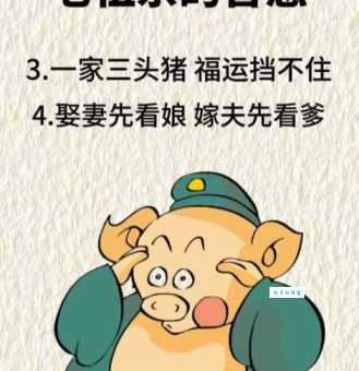 天长日久指什么生肖？看完这个视频你就明白了！