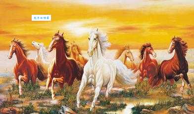 桑榆暮景是什么生肖的寓意？原来代表晚年生活！