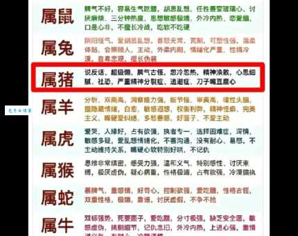 仰面朝天打最佳生肖到底是什么动物？马上揭晓答案！