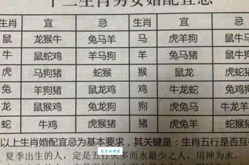 揭秘谁与争锋是什么生肖？生肖争霸的真正答案！