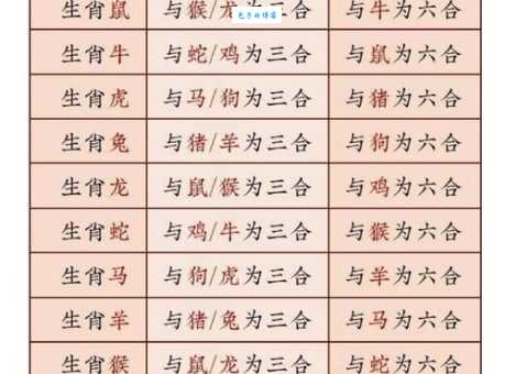 当头棒喝打一最佳生肖动物是什么?老中医教你猜生肖!