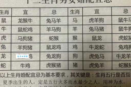 猜生肖谜题:却有天间两阴会打一最佳生肖解析!