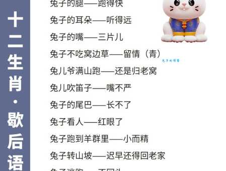 南拳北腿打一最佳生肖的正确答案:内行人都在传!