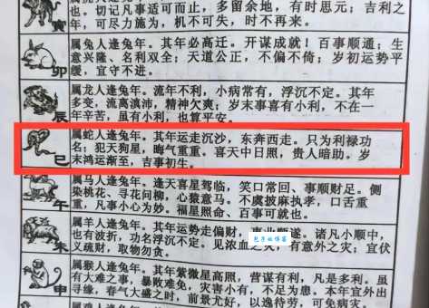 南拳北腿打一最佳生肖的正确答案：内行人都在传！