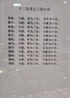 蒙头转向是什么生肖？谜底揭晓让你恍然大悟！