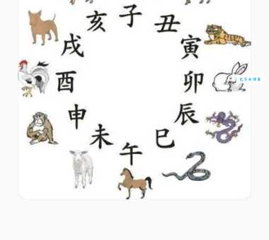 快速锁定前仰后合是指什么生肖？记住这几点秘诀！