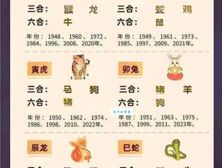 炙手可热这个词形容什么生肖？一起来看看解析！