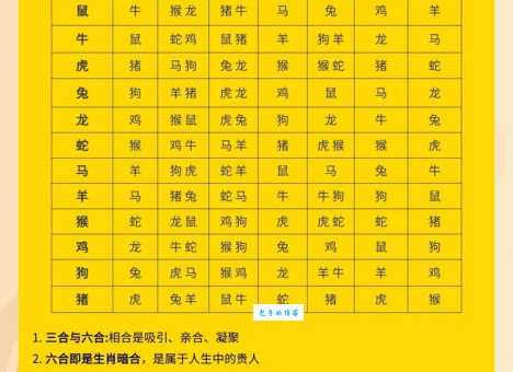知书达理是什么生肖属性？听听生肖学家的解答