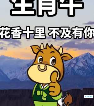 想知道家花更比小花香指什么生肖吗？看完这篇文章你就明白了！