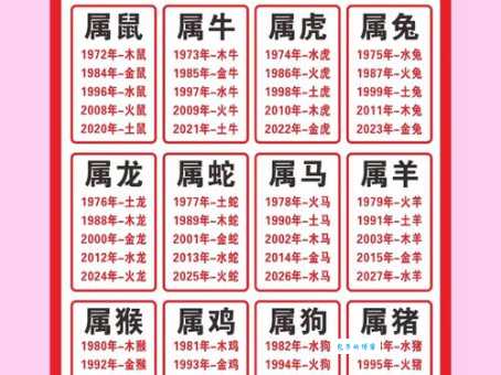 邑犬群吠是什么生肖的代号？揭秘背后的生肖含义！