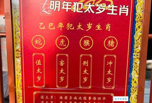 满载而归指什么生肖？资深命理师为您揭晓答案！