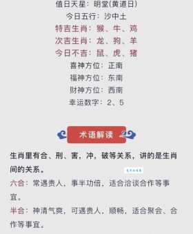 千王之王出江湖指什么生肖？准确答案就在这里揭晓