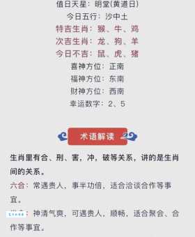 状元武士带红花是什么生肖？专家为你详细讲解