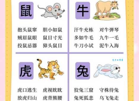 揭秘眉开眼笑是什么生肖的代名词？很多人都猜错了！