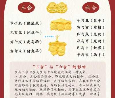 标新立异是什么生肖？原来是这个生肖与众不同！