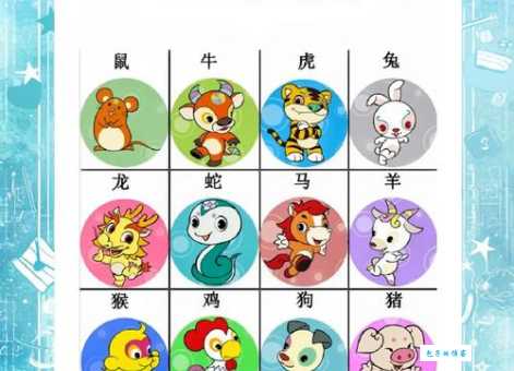 标新立异是什么生肖？原来是这个生肖与众不同！