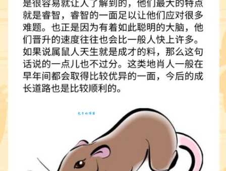 暗中盘算指什么生肖动物？揭秘属鼠的人的内心世界！