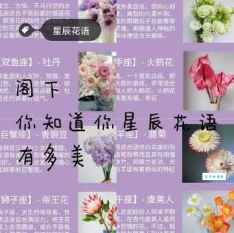 家花更比小花香是什么生肖的暗语？生肖迷快来看！