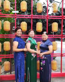 揭秘美景佳人夕阳红代表什么生肖？看完你就懂了