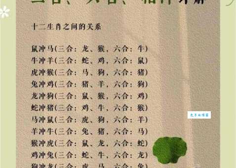 济河焚舟是什么生肖最准确？生肖专家深度解析给你听！