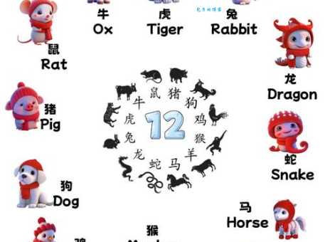 美丽天使是什么生肖？揭秘背后的生肖含义