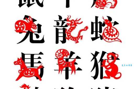 蛊惑人心是什么生肖？看这几个特征帮你快速了解！