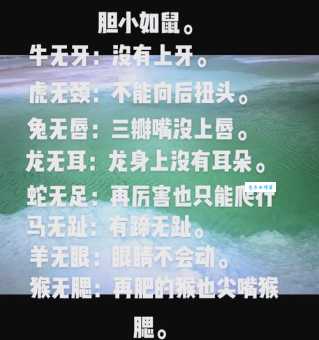 恬不知耻是什么生肖来比喻？这个生肖代表不要脸的极限！