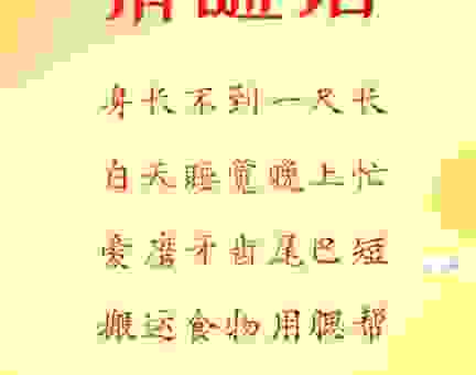 远渡重洋打一动物的谜底究竟是什么？答案让人意想不到