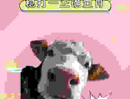 赶尽杀绝打一准确生肖是哪个？高手教你简单猜！