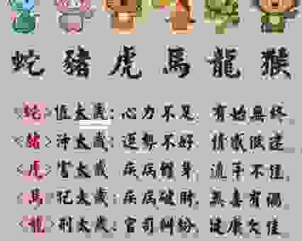 赤胆忠心打一生肖谜底揭晓！背后有什么故事？