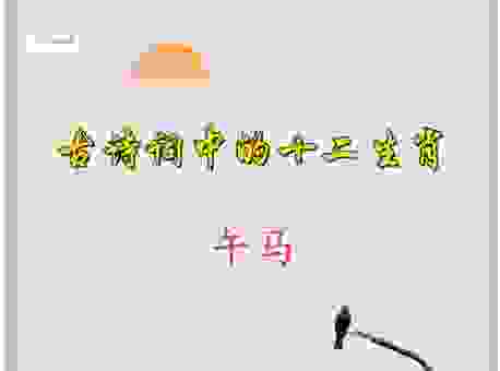 有一手儿是指哪个生肖动物？民间高手解读生肖诗！
