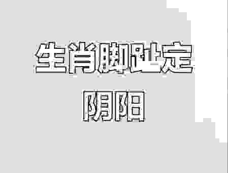 站不住脚是什么生肖？教你快速猜出正确的生肖！