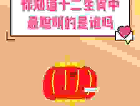 心灵手巧是什么生肖的代表？这个生肖天生聪明