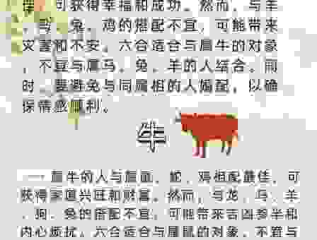 喜闻乐见是什么生肖代表？生肖专家深度解析背后含义！