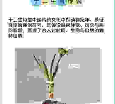 头皮发麻是什么生肖？背后的科学解释和民间传说