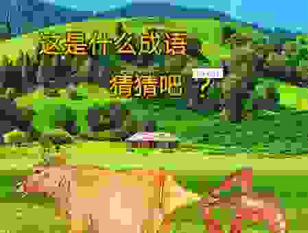 大家都在猜牛鼻子打一最佳生肖？看完这个视频你就懂了